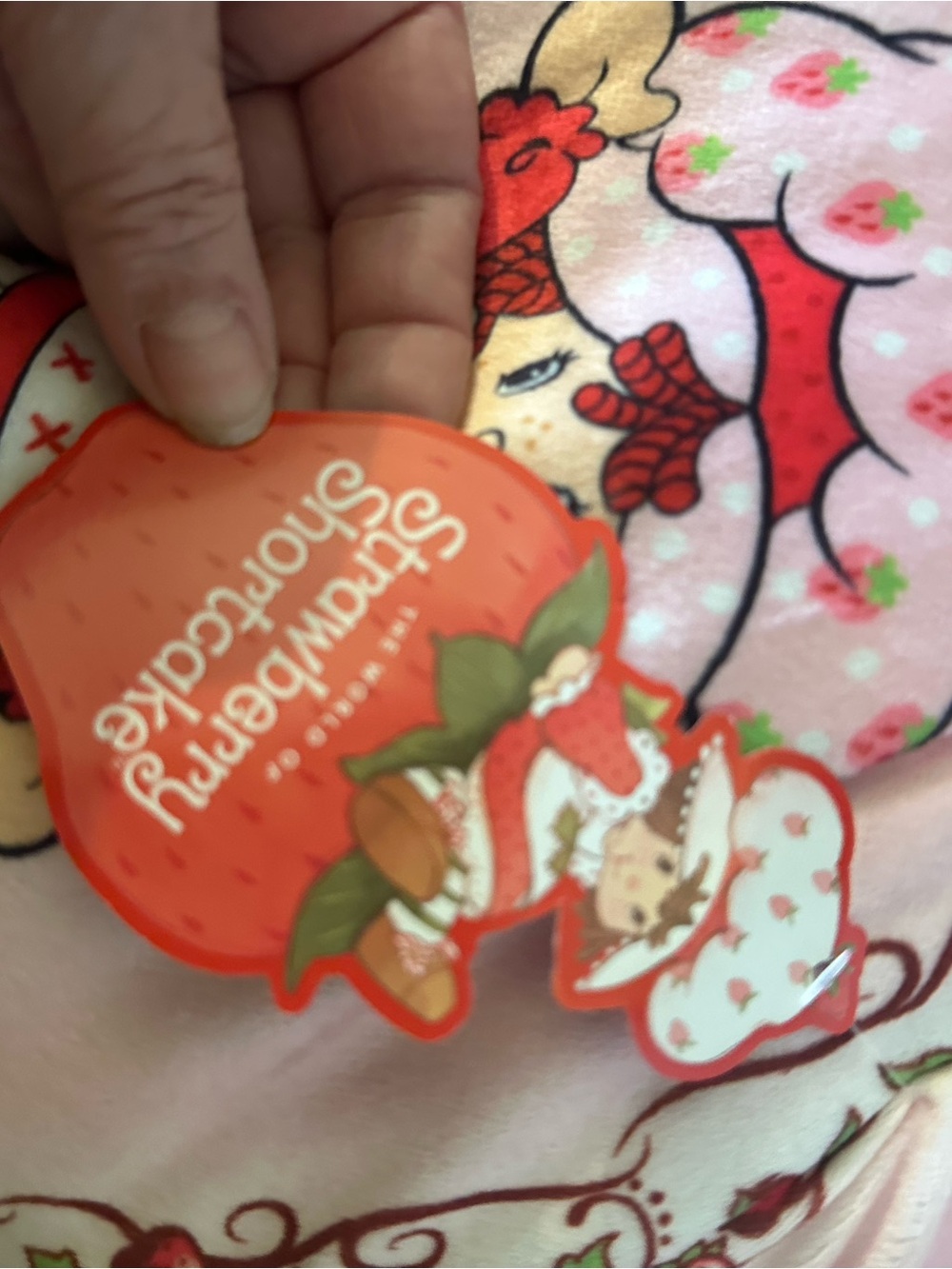 2 Strawberry Shortcake Decorative Pillows. New. With Tags - Picture 6 of 9
